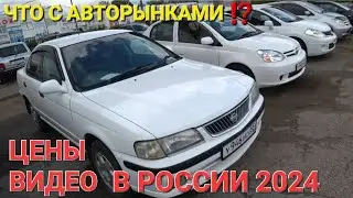 ЧЁ ПРОИСХОДИТ ⁉️ АВТОРЫНКИ В СИБИРИ 2024, ЦЕНЫ ВИДЕО, ОМСК