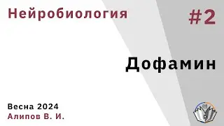 Нейробиология обучения 2. Дофамин