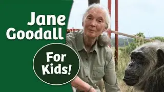 Jane Goodall Story for Kids