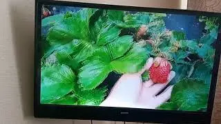 Ремонт подсветки телевизора Samsung UE32K5100AU в домашних условиях