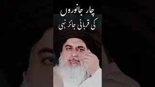 4 Janwaro Ki Qurbani Jaiz Nahi? - Allama Khadim Hussain Rizvi #tlp #shorts