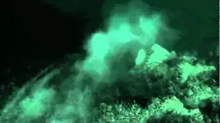 203932.flv