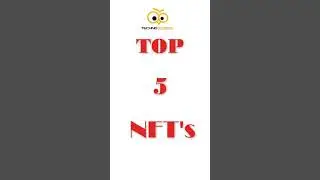Top 5 Expensive NFT's  