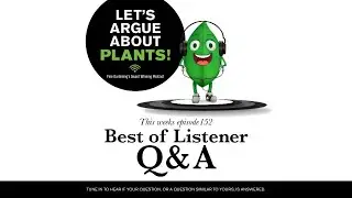 Episode 152: Best of Listener Questions