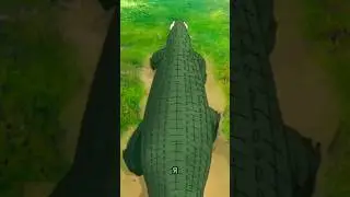 такси 10из10🤣 не люблю боль поэтому собираюсь всё скачать в защиту