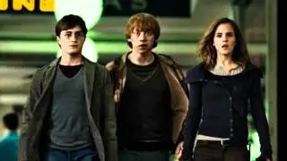 What's Left Of Hermione            for my 330 subs :)