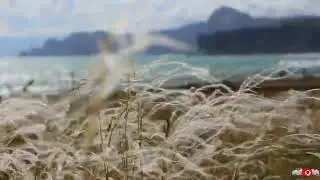 Крым. А у моря сейчас вот так! Жаркий полдень в июне