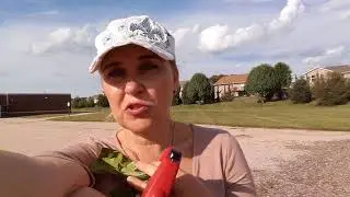 36-часовое сухое голодание... И как я вылечила псориаз.