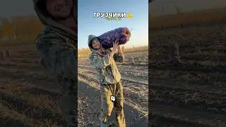 Вот почему тебе срочно нужно устроиться грузчиком! 
