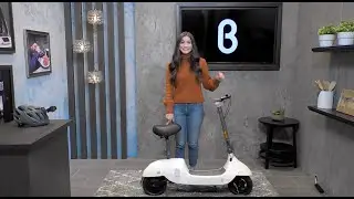OKAI Beetle: Product Overview