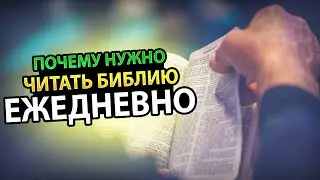 10 причин, почему Библию нужно читать ежедневно