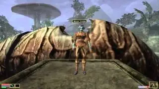 TES Morrowind получение звания мистика в гильдии магов. Золотой святоша (Морровинд)