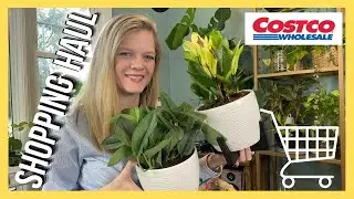 Costco Plant Haul  ||  Finding Plants at Big Box Store  ||  Soiled Plant
