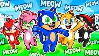 THE NEW SONIC & FRIENDS!