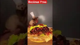 Зверёк повор | девушка и собака | Лучшие друзья | Весёлая Утка