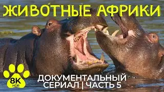 Дикая природа Африки – #5 | 8K HDR Фильм о животных дельты реки Окаванго и солончака Нксай-Пан