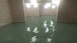 the poolrooms (VHS footage)