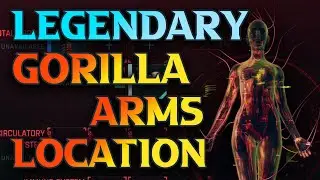 Cyberpunk 2077 Legendary Gorilla Arms Location