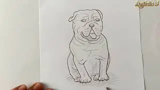 Как нарисовать бульдога