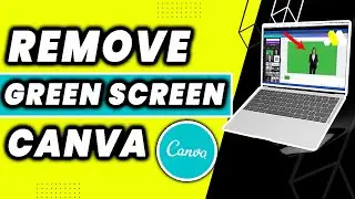 How To Remove Green Screen In Canva (EASY 2022)