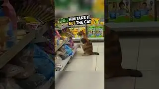 This cat’s act for his loved one melted hearts 🥹💕 