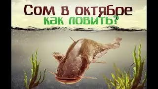 Отличные уроки ловли сома в октябре!