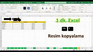 Excel 1 Dakika - CTRL+D ile şekil resim kopyalama