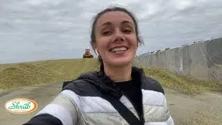 Погода меняется, а уборка продолжается.