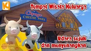 Cepogo Cheese Park, tempat wisata keluarga
