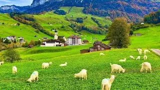Switzerland countryside life - Relaxing walk in Switzerland's most beautiful villages