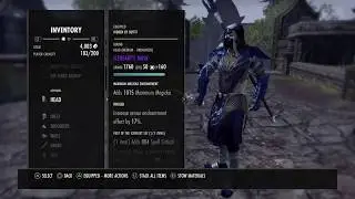 Nightblade Healer Build: The Deathgiver