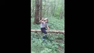 Танцы в весеннем лесу.