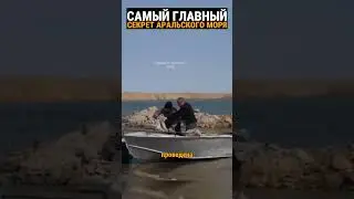 Удивительное на дне Аральского моря. Думайте.