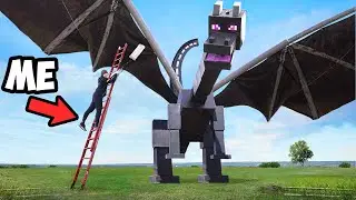 Worlds Largest Ender Dragon!