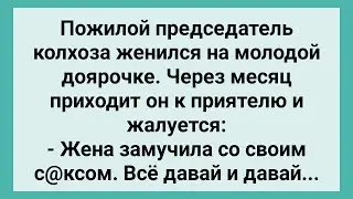 Пожилой Председатель Женился на Молодой Доярке! Сборник Свежих Смешных Жизненных Анекдотов!