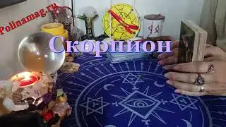 Сентябрь. Рак Скорпион Рыбы