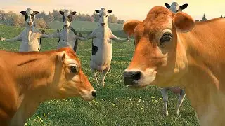 FUNNY COW DANCE 7 │ Cow Song & Cow Videos 2021