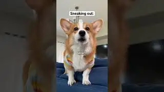 How to sneak out!