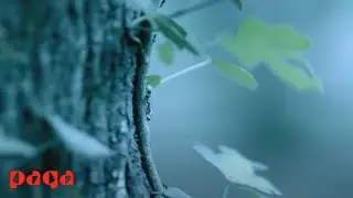 Redd - Yavaş Yavaş Yavaş