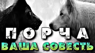ПОРЧА И ВАША СОВЕСТЬ