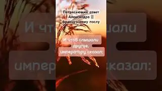 Про лягушек 