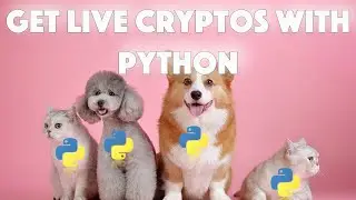 How to get LIVE cryptocurrency data with Python using the Binance API / ERROR FIXING
