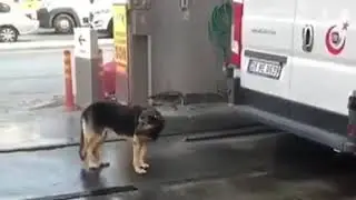 Не упустил момент😁😁😁