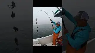 How to Catch 5 Fish at a Time! #shorts #fishing