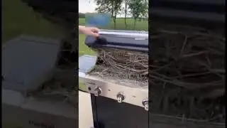 Парня ненавидит весь интернет за это видео