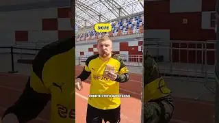 АртПо - дилетант?