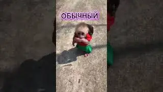 а что ты выберешьшшшшшшшшшш?