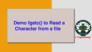 Demo fgetc() to Read a Character from a file