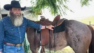 Dry Creek Wrangler Signature Saddle is Here!