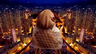 Tessa - Fuck Dat (Official Video Clip)